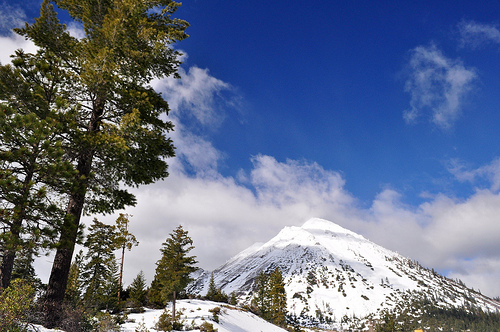 Mount Shasta