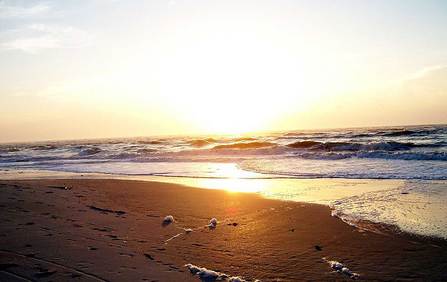 Folly Beach